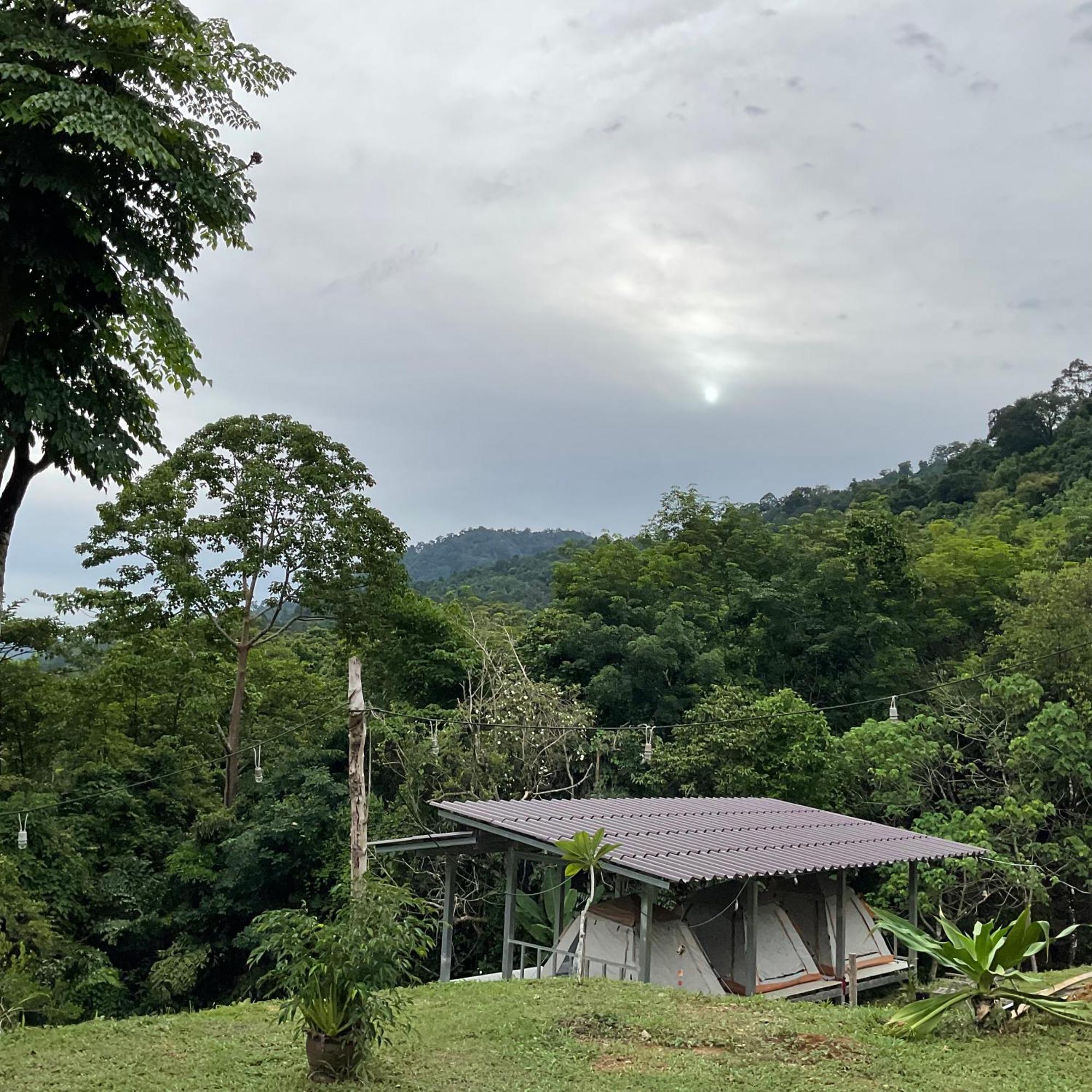 Khao Sok Hill Top Resort Khao Sok National Park Zewnętrze zdjęcie