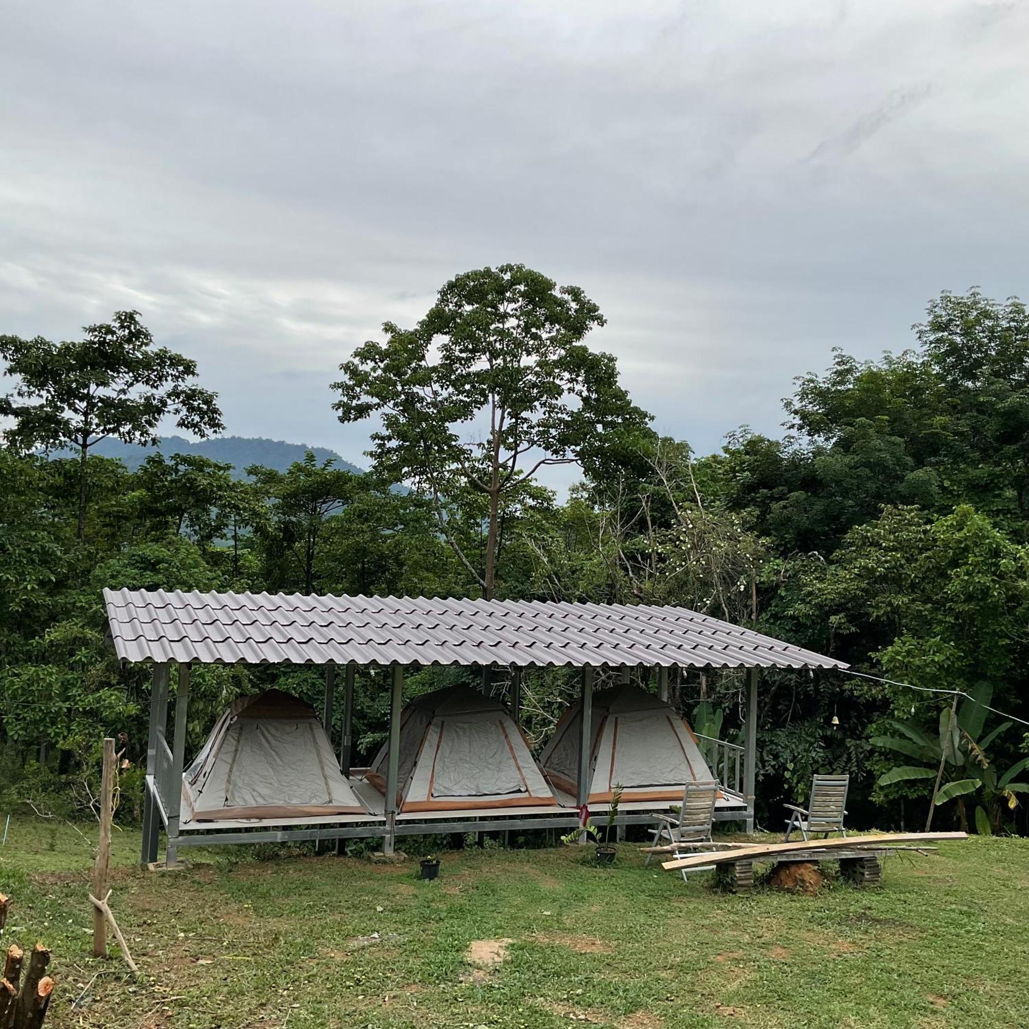 Khao Sok Hill Top Resort Khao Sok National Park Zewnętrze zdjęcie