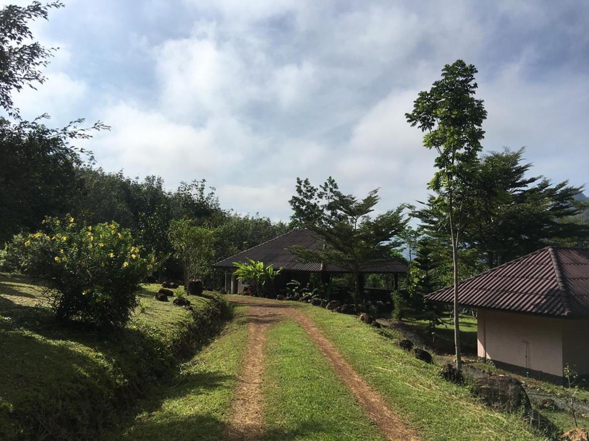 Khao Sok Hill Top Resort Khao Sok National Park Zewnętrze zdjęcie
