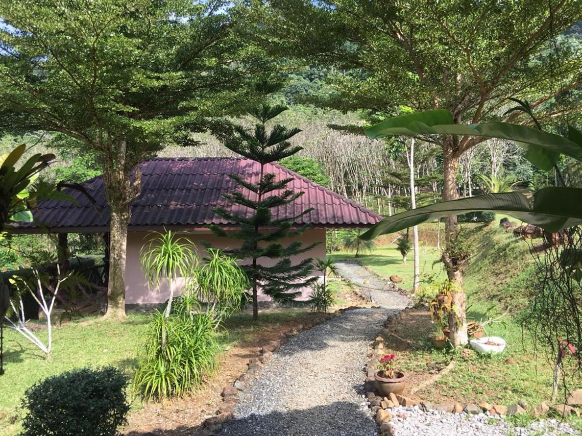 Khao Sok Hill Top Resort Khao Sok National Park Zewnętrze zdjęcie
