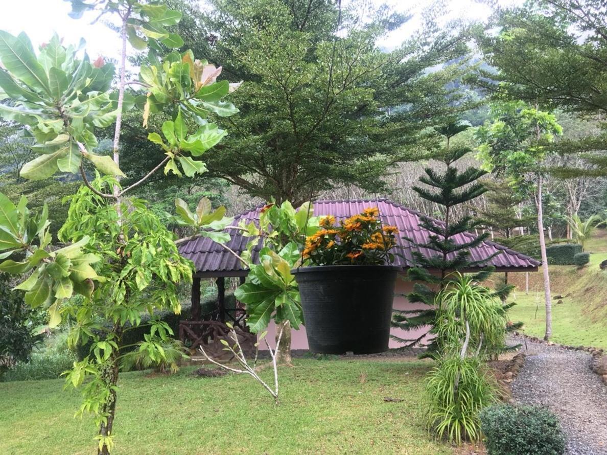 Khao Sok Hill Top Resort Khao Sok National Park Zewnętrze zdjęcie